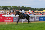 280726-Race 3-Black Velvet Boy-0676