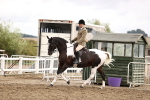 SBM_00599