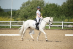 SBM_008984