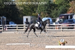 BPP_9033