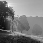 2228 - Coombs End Clump