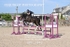 BPP_2443