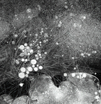 Universe at our feet