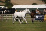 SBM_09256