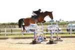 SBM_004409