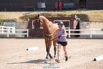 260715-115258-00081