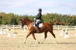 SBM_016037