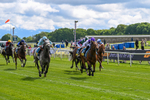 130526-Race 3-Dark Thirty-2782