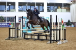 SBM_002719