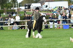 SBM_51862