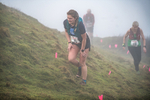 Wansfell-598