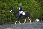 WJ5_9010