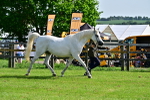 SBM_01052