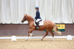 SBM_010338