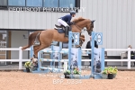 BPP_0334