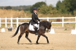 SBM_009048