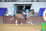 SBM_001902