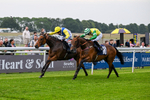 160626-Race 3-Langholm-4453