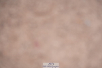 240802A-125632-04497