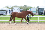 SBM_03895