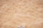 240506A-090254-07902