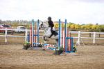 SBM_006447