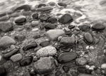 Pebbles Spurn Point in Black and White