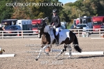 BPP_8895