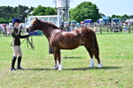 SBM_03871
