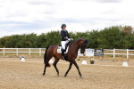 SBM_006429