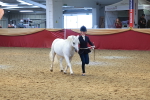 SBM_16647