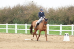 SBM_007653
