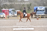 NOVICE 1 portfolio