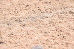 230609A-110902-00437