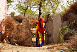 Colourful sari in Chatra Sagar village