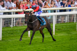 290723-Race 7-Bajan Bandit-1103