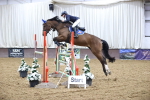 SBM_008382
