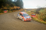 McCaffertys Donegal Forestry  59