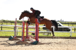SBM_004946