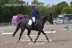 BPP_6629