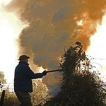 Bonfire