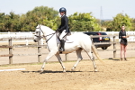 SBM_001539