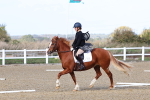 SBM_000881