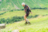 Wasdale-2015