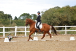 SBM_007540