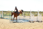 SBM_006972