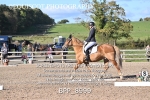 BPP_8999