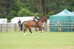 SBM_00035