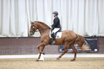 SBM_004204