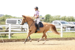 SBM_004164